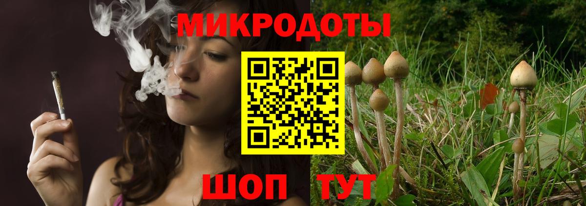 Галлюциногенные грибы Psilocybe  Вход с VPN  Вязьма 